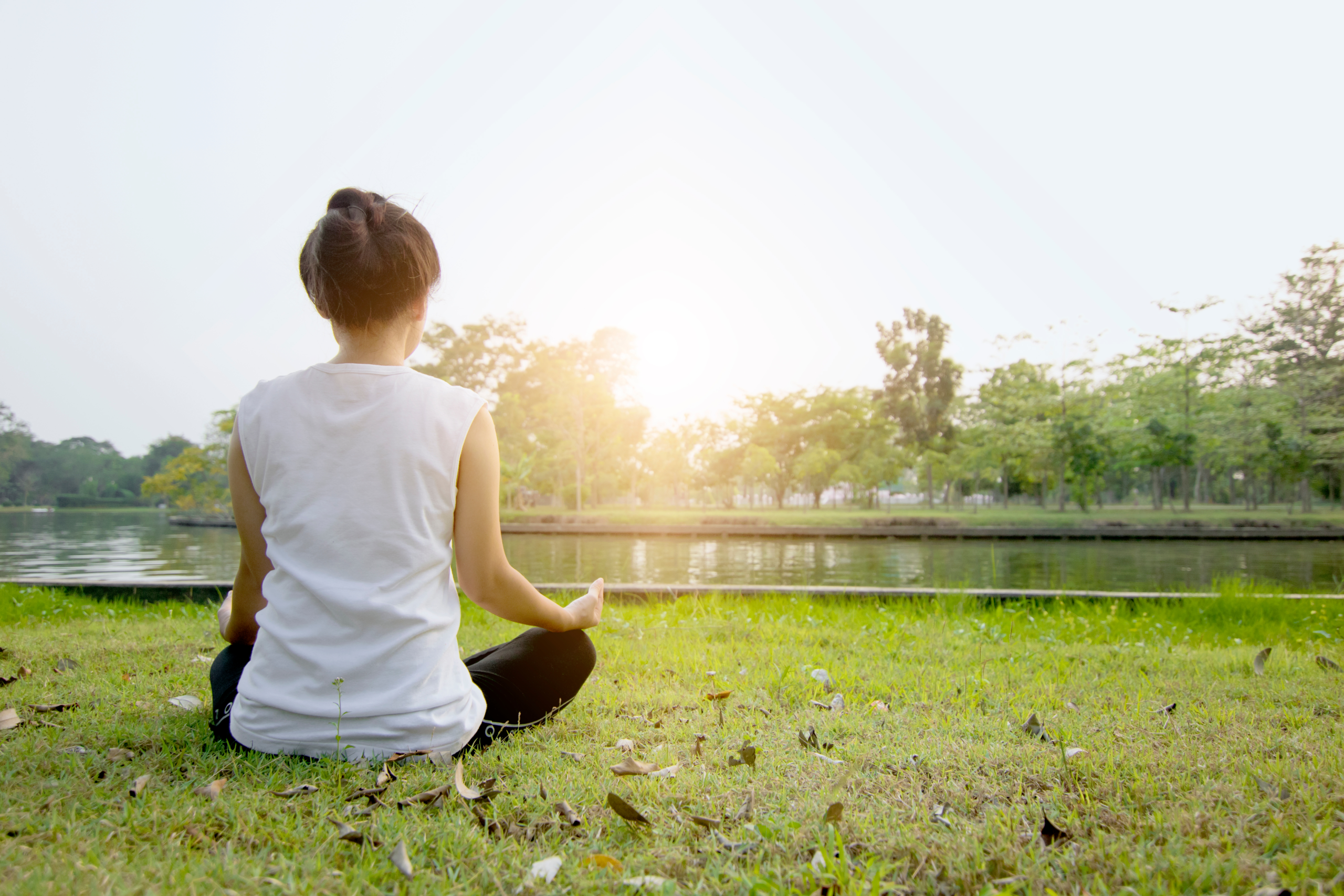 ホームページリニューアルのお知らせ